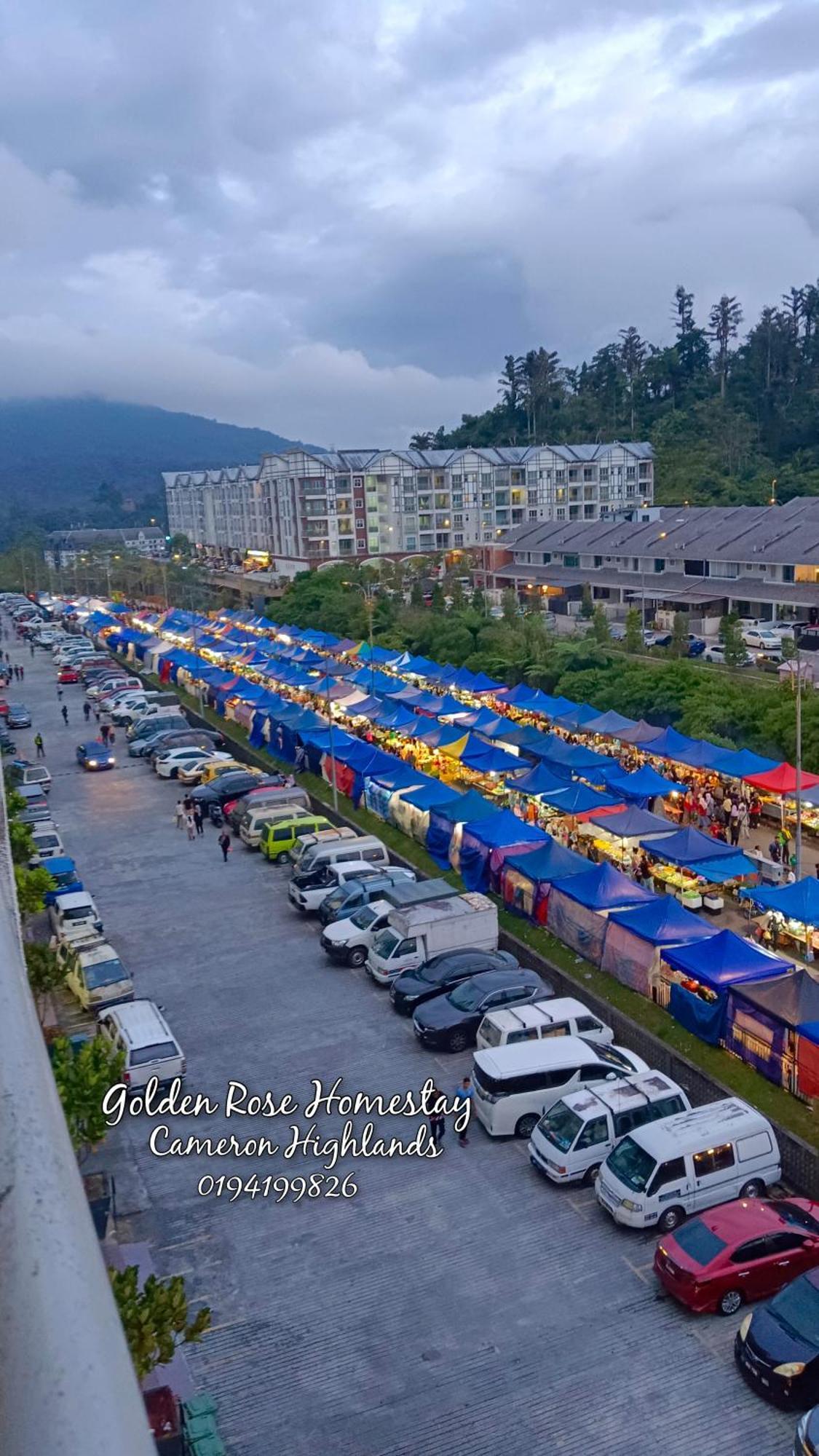 Golden Rose Homestay Cameron Highlands 伯恩仓 外观 照片